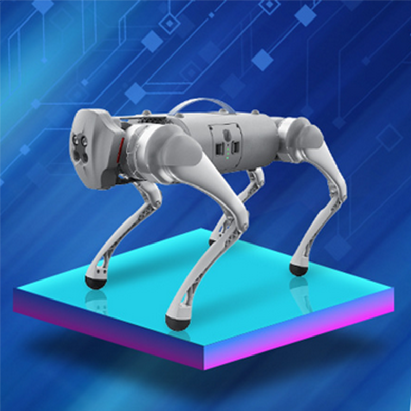 Robot Dog Battery Pack