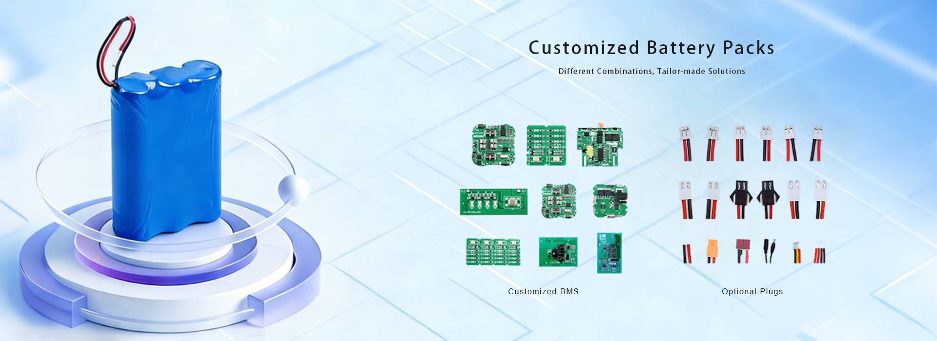 Customized Battery Packs BMS